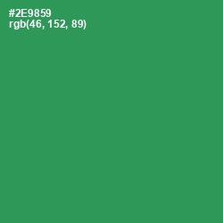 #2E9859 - Sea Green Color Image