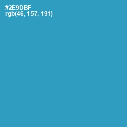 #2E9DBF - Boston Blue Color Image