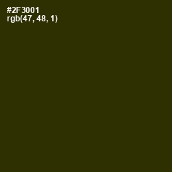 #2F3001 - Turtle Green Color Image