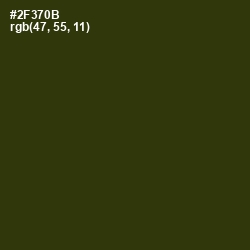 #2F370B - Turtle Green Color Image