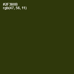 #2F380B - Turtle Green Color Image