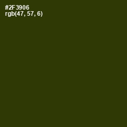 #2F3906 - Turtle Green Color Image