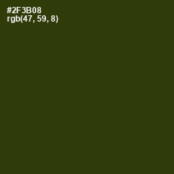 #2F3B08 - Turtle Green Color Image