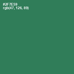 #2F7E59 - Amazon Color Image