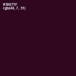 #30071F - Aubergine Color Image