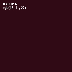 #300B16 - Aubergine Color Image