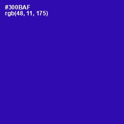 #300BAF - Blue Gem Color Image