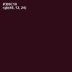 #300C18 - Aubergine Color Image