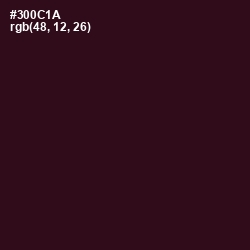 #300C1A - Aubergine Color Image