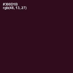 #300D1B - Aubergine Color Image