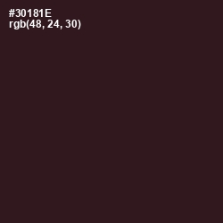 #30181E - Cocoa Brown Color Image