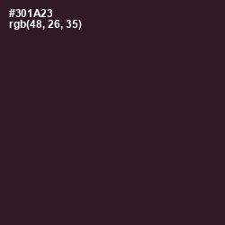 #301A23 - Revolver Color Image