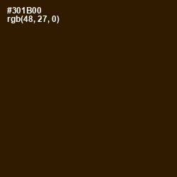 #301B00 - Clinker Color Image