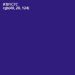 #301C7C - Persian Indigo Color Image