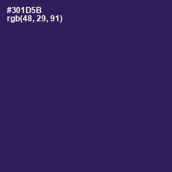 #301D5B - Grape Color Image