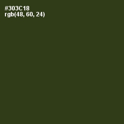 #303C18 - Camouflage Color Image