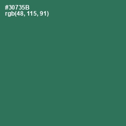 #30735B - Amazon Color Image