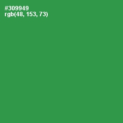#309949 - Sea Green Color Image