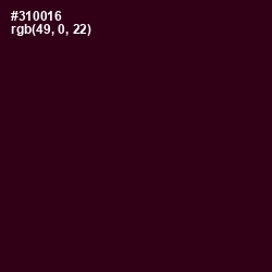 #310016 - Aubergine Color Image