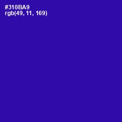 #310BA9 - Blue Gem Color Image