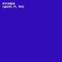 #310BB8 - Blue Gem Color Image