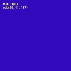 #310BBB - Blue Gem Color Image