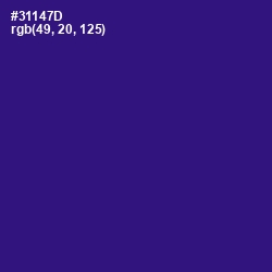 #31147D - Persian Indigo Color Image