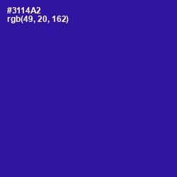 #3114A2 - Blue Gem Color Image