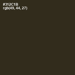#312C1B - Bistre Color Image