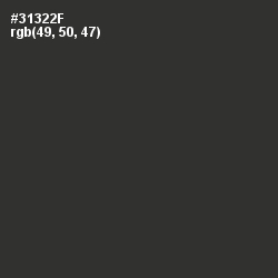#31322F - Birch Color Image