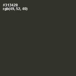 #313428 - Birch Color Image