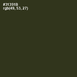 #31351B - Camouflage Color Image