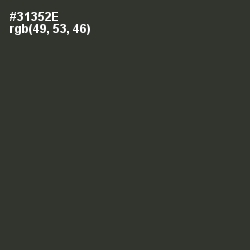 #31352E - Birch Color Image