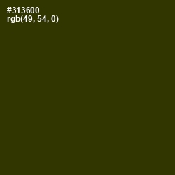 #313600 - Waiouru Color Image