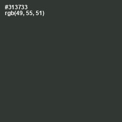 #313733 - Mine Shaft Color Image