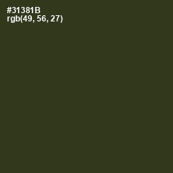 #31381B - Camouflage Color Image