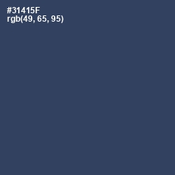 #31415F - Pickled Bluewood Color Image