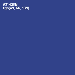 #31428B - Chambray Color Image