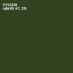 #314320 - Lunar Green Color Image