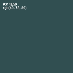 #314E50 - Limed Spruce Color Image