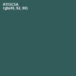 #315C5A - Stromboli Color Image