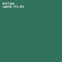 #31735A - Amazon Color Image