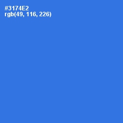 #3174E2 - Mariner Color Image