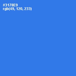 #3178E9 - Mariner Color Image