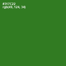 #317C22 - Bilbao Color Image