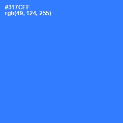 #317CFF - Azure Radiance Color Image