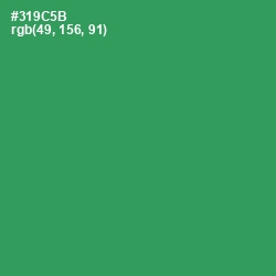 #319C5B - Sea Green Color Image