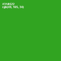 #31A522 - Forest Green Color Image