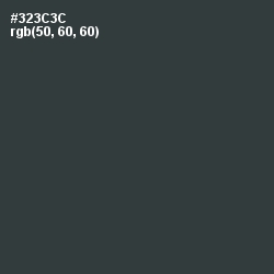 #323C3C - Tuatara Color Image