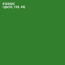#32802E - Forest Green Color Image